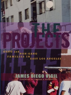 cover image of The Projects
